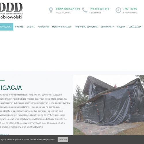 Dezynfekcja mieszkań w Włocławku